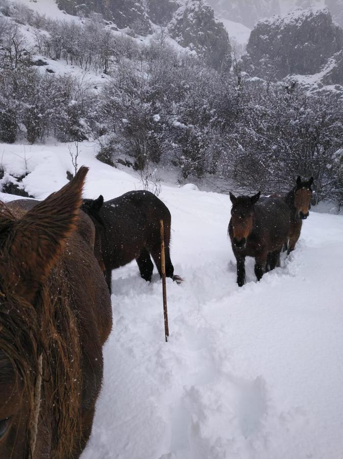 Casa Rural El Enebral En Potes Picos De Euopa Colio Esterno foto