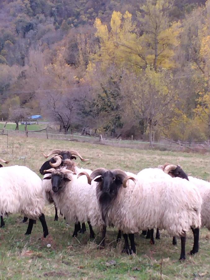 Casa Rural El Enebral En Potes Picos De Euopa Colio Esterno foto